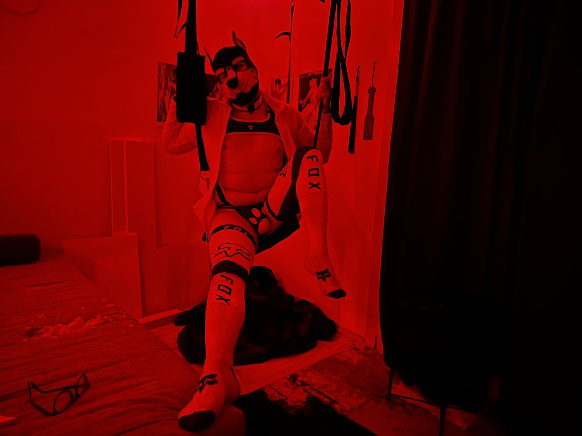 PuppyAnubis's tweet photo. Orange Pup 🧡 in the redlight zone ❤️ https://t.co/LwloKcvB98