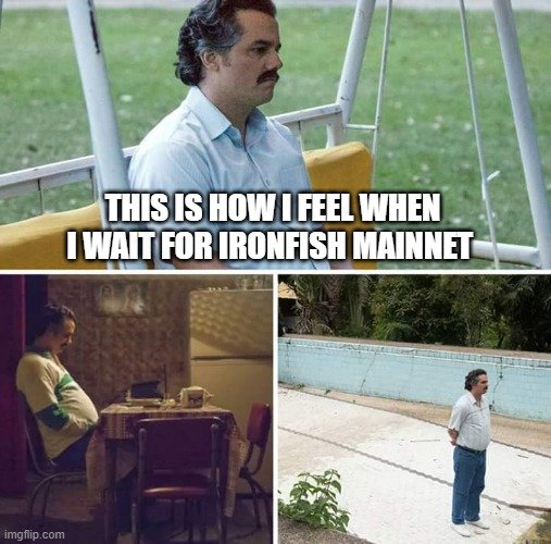 Ten42183929's tweet photo. @ironfishcrypto https://t.co/ldlZJbyjSg