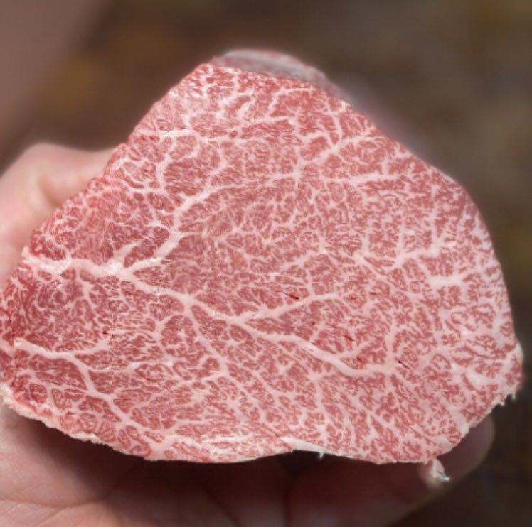 wojacques_'s tweet photo. @FatherMcKennaa just some imitations of a beautiful Japanese A5 Wagyu beef https://t.co/8Klsn5004J