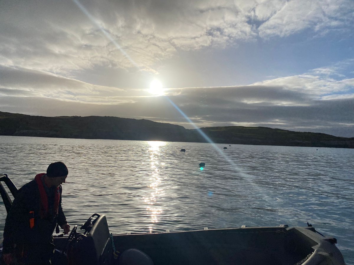 We are hiring a research assistant to work on seaweed cultivation projects - 12 month contract - starts April 2023 - includes lab and field work - contact me for details - apply now!!! 🌊🌱😀 #kelp #MarineEcology