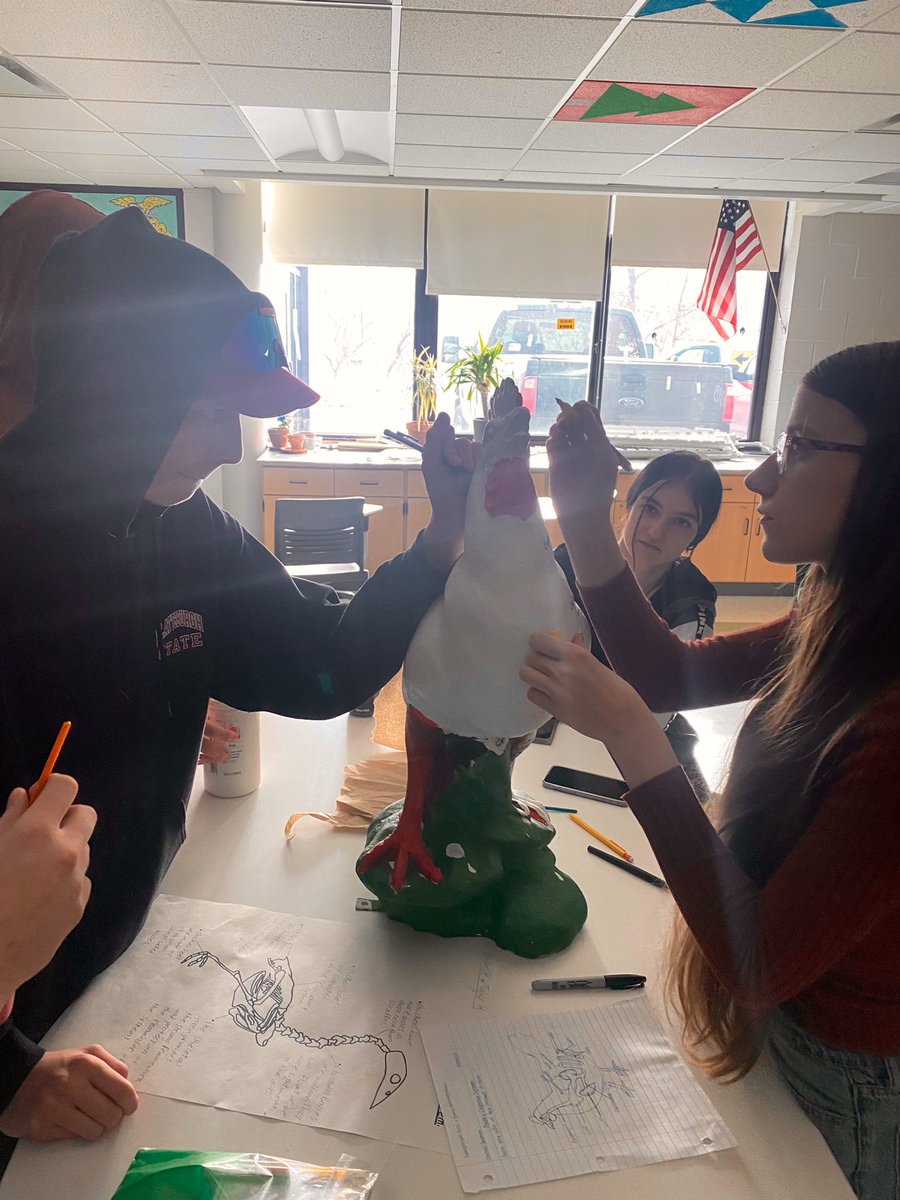 Herkimer_Ag's tweet photo. @HerkimerCSD Animal Science students are making different visuals of Poultry Anatomy and Physiology today. Understanding how an animals body works gives us clues on how to treat it and how to ensure our food is the best quality. #agricultureeducation #AgEd #HerkPride #chicken https://t.co/II2thEbyUw