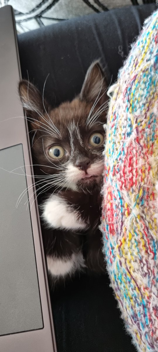 Commute Club tweet media