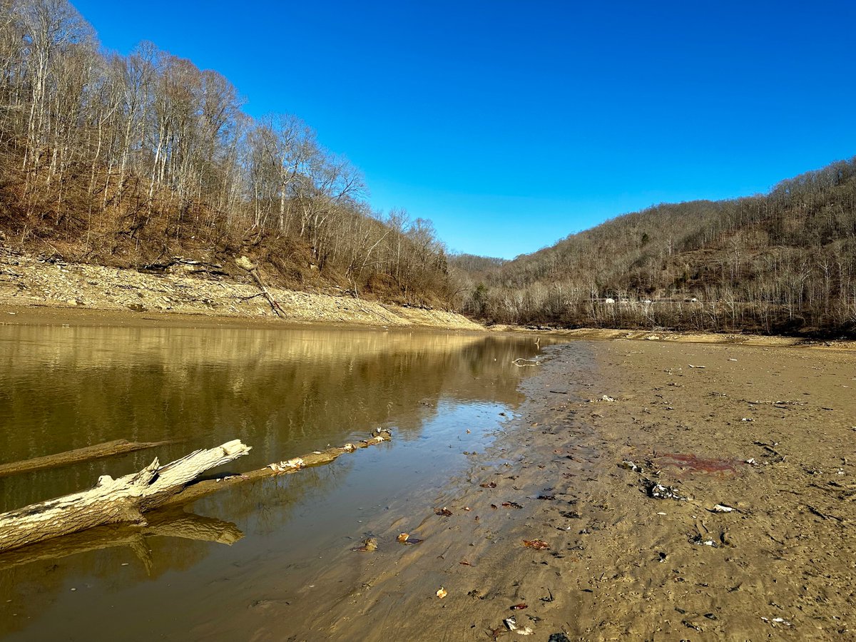 Dr. Tiffany Messer tweet media