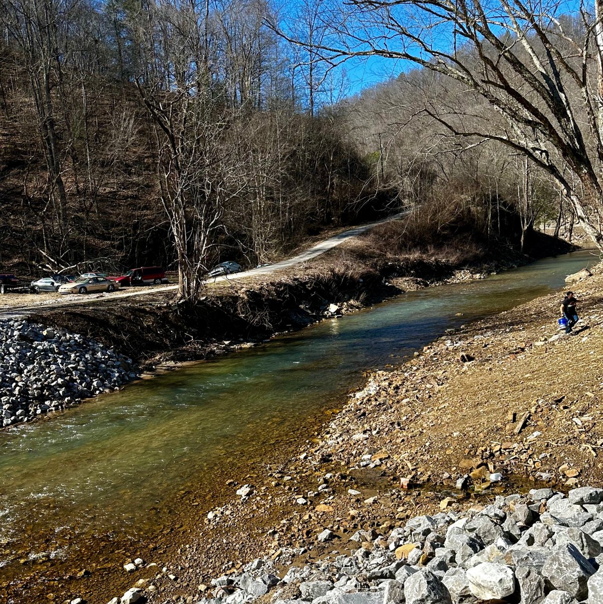 Dr. Tiffany Messer tweet media