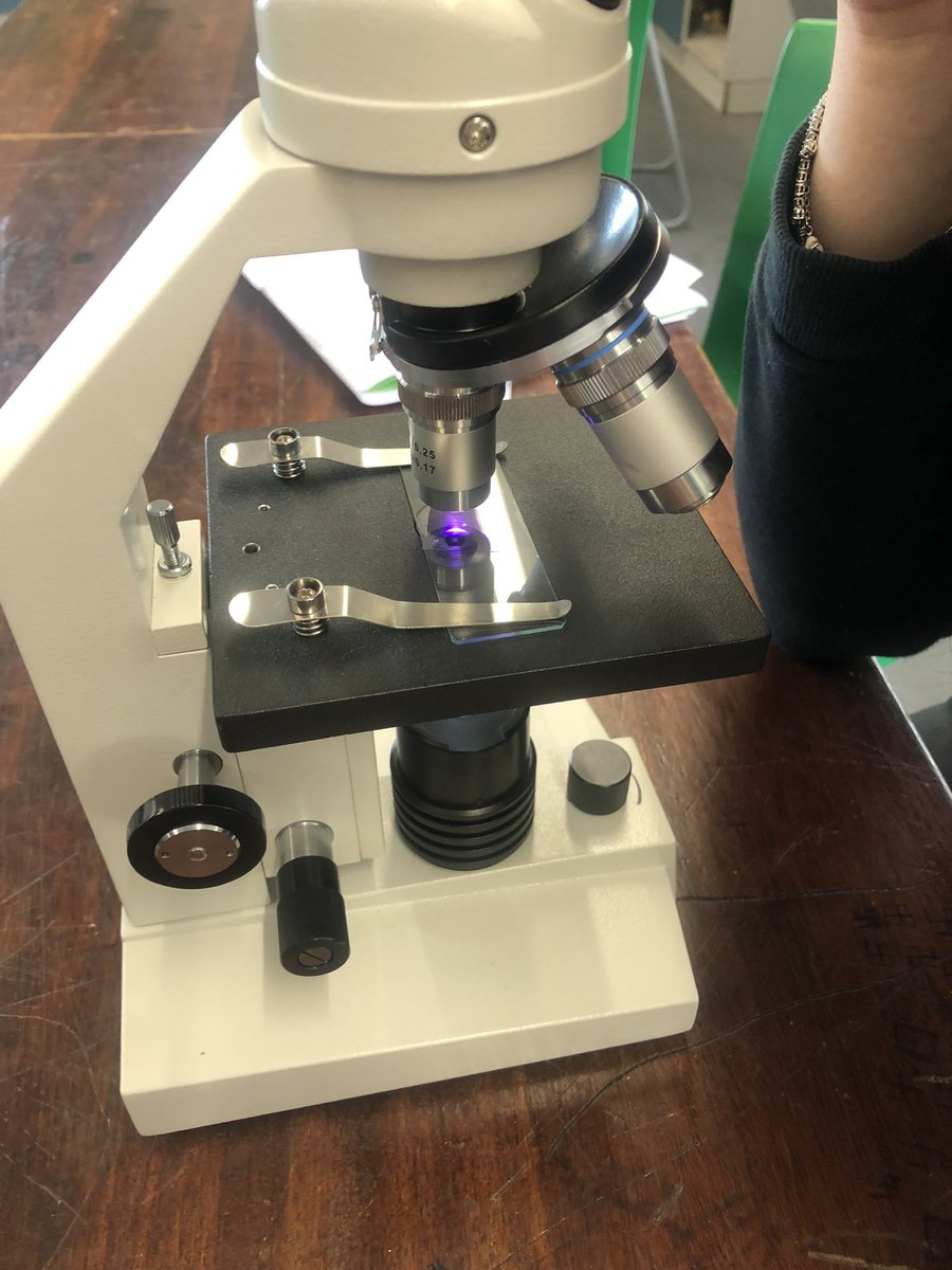 PatchwayS's tweet photo. Cells have been the focus today for both Year 9 and 10! Year 10 prepared microscope slides of their cheek cells and Year 9 got creative making specialized cells #ambitious #respectful #excellent @olympustrust @PatchwayC_S https://t.co/f6C4fOwfzx