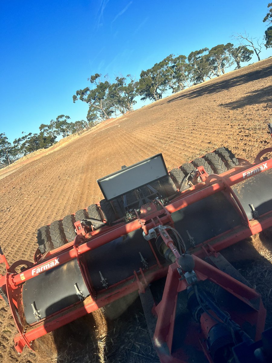 dingo71113's tweet image. Doing a renovation on some one year old clay and coming up a treat. Incorporating 400mm with ease