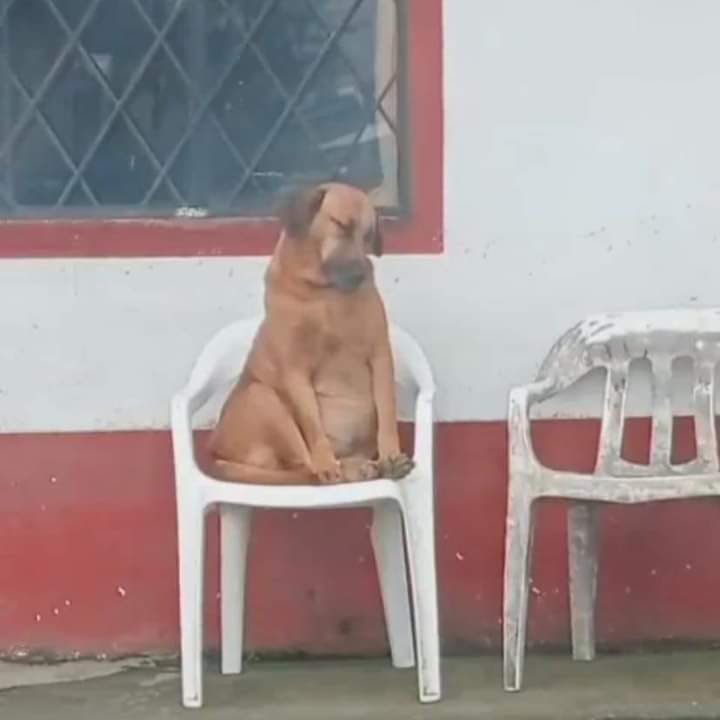 corridosybandas's tweet photo. Yo después de comer: https://t.co/Sw5aakpzQI