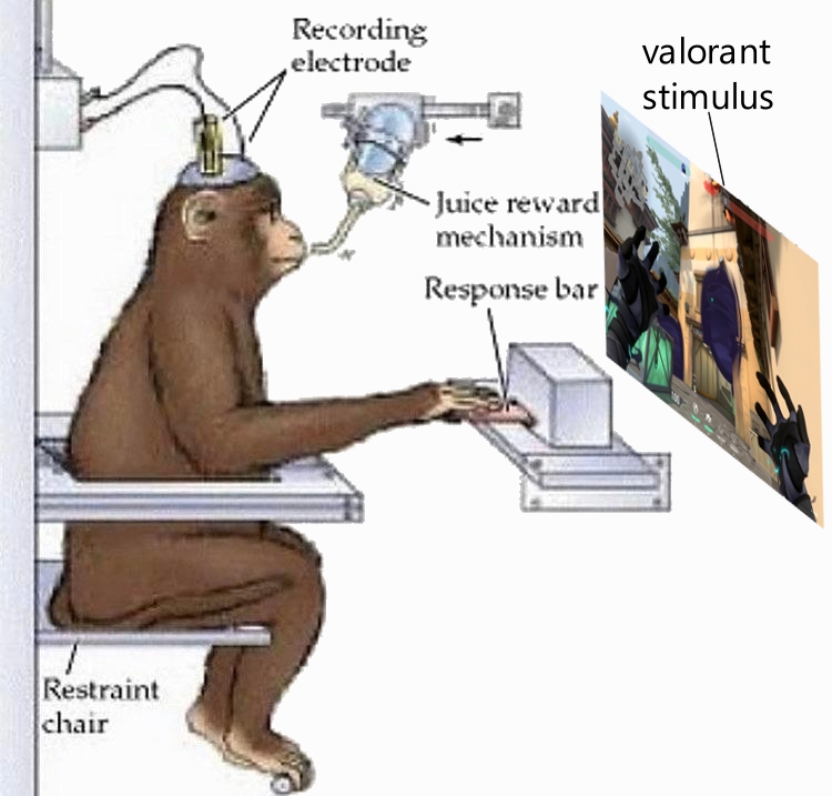 The Goose House on Twitter "average valorant player"