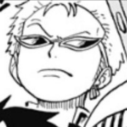zoro pics tweet media
