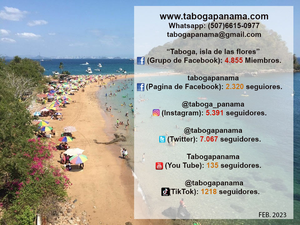 Taboga Panamá 🇵🇦 tweet media