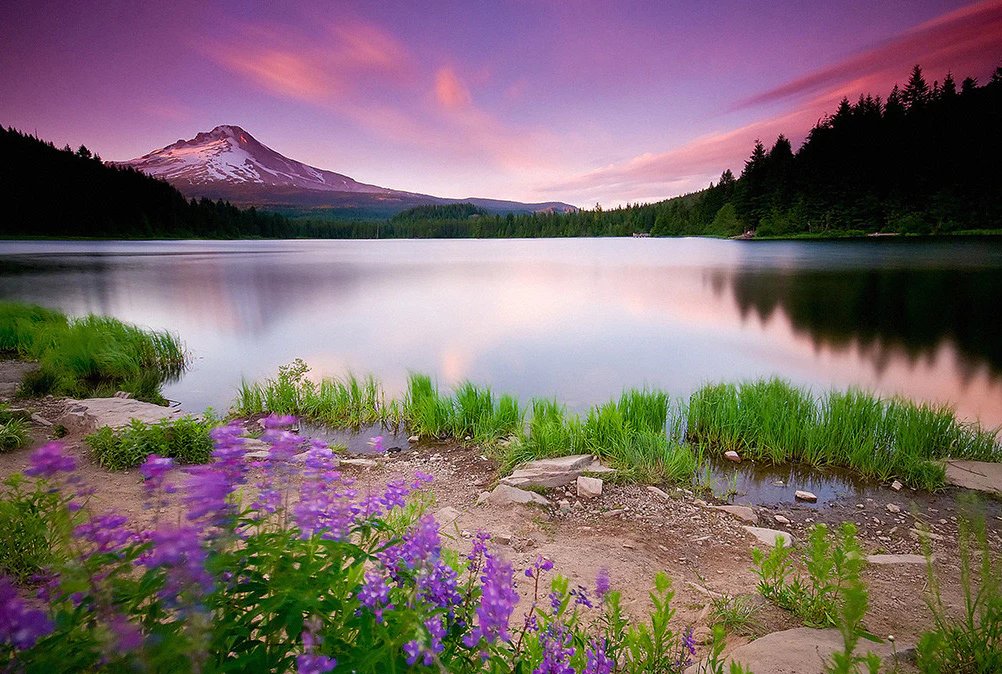 clonesjer on Twitter "Peterson Pits Ames, Iowa"