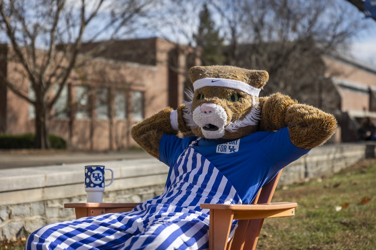 The Kentucky Wildcat tweet media