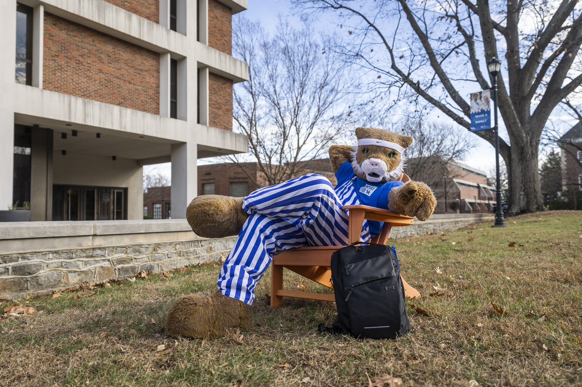 Hopefully the Groundhog lied about this whole six more weeks of winter thing… ☀️