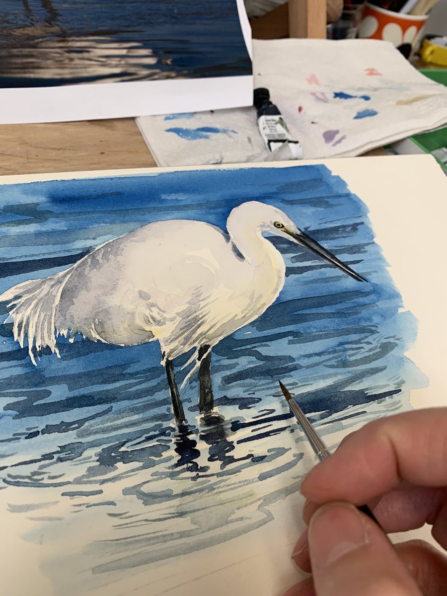 littleredboot's tweet photo. Little Egret watercolour #littleegret #egret #watercolour #britishbirds #birdlife @Natures_Voice https://t.co/yxCNhz42LK
