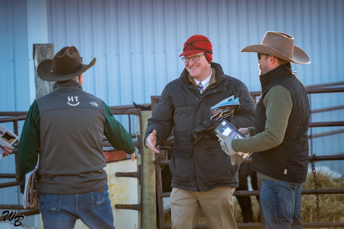 BollumRanchProd's tweet photo. Wowza! What an incredible sale for Ellingson Angus! Sale report now posted! Congratulations to Chad &amp; Julie and their family!
.
Sale Report: https://t.co/fqCHIteyYX
.
.
#westernagreporter #westernagwill #angus #angusbulls #angusheifers #EllingsonAngus #iamangus https://t.co/HjQNSx7Lhr