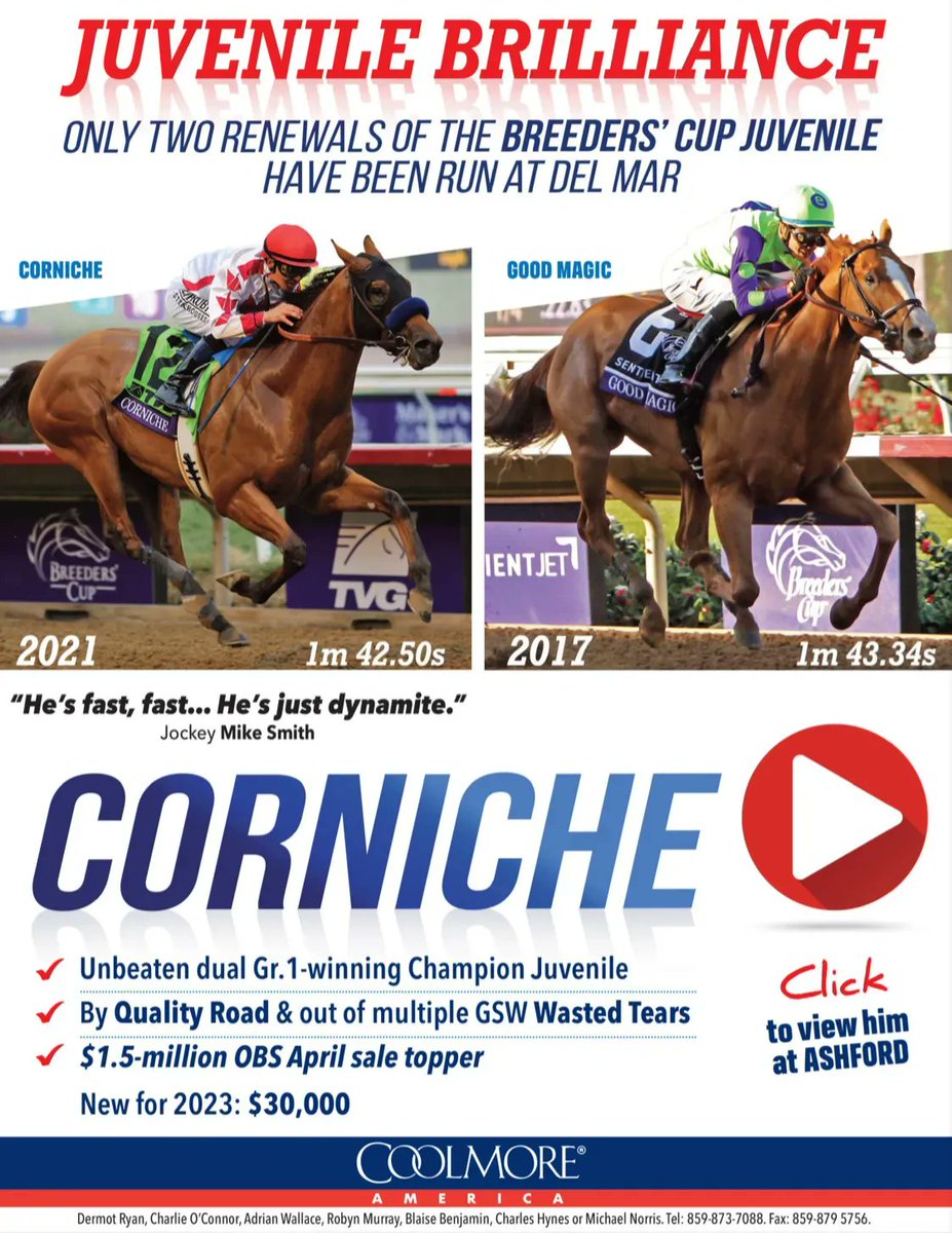 TDN on Twitter " Unbeaten dual GIwinning Champion Juvenile By Quality
