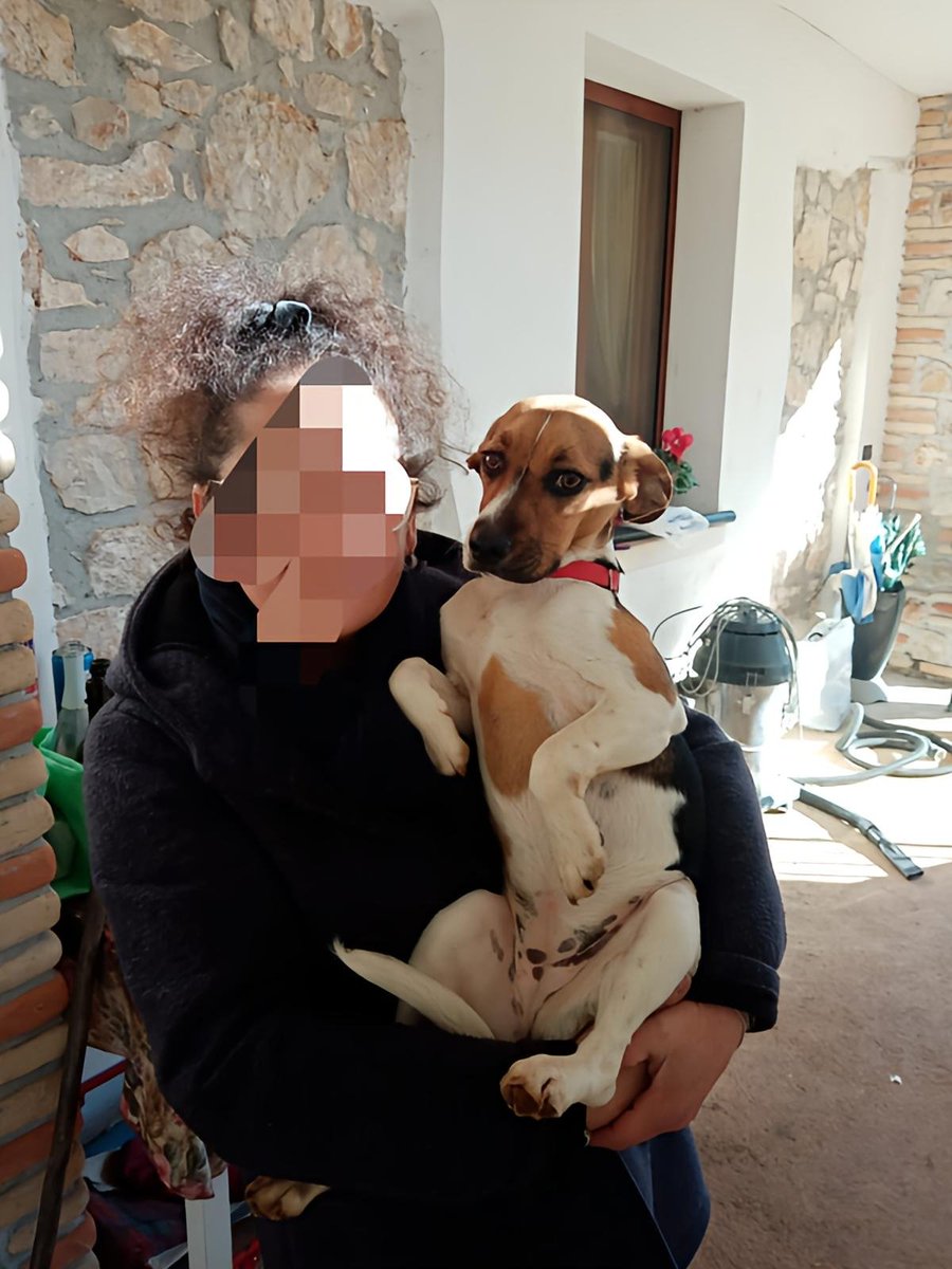 Associazione Tana Libero Tutti tweet media