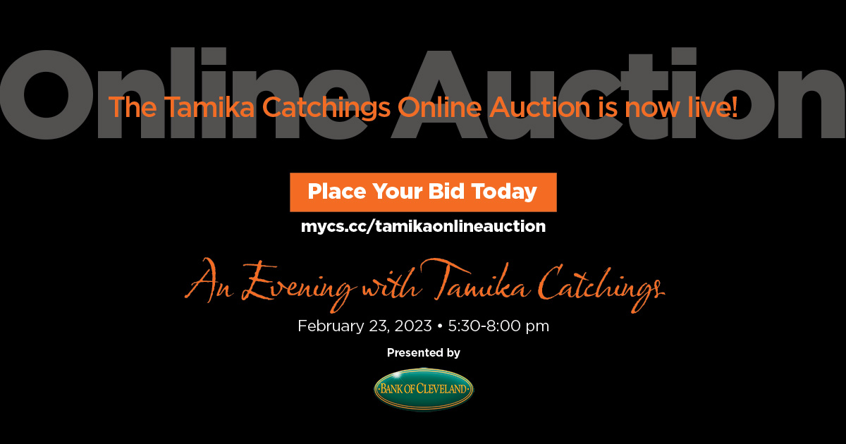 Everyone is invited to bid on the Online Auction to support the CSCC Foundation! Items include jewelry, UTK basketball tickets and more. The auction is open now until An Evening with Tamika Catchings on February 23. Visit mycs.cc/tamikaonlineau… to place your bid!