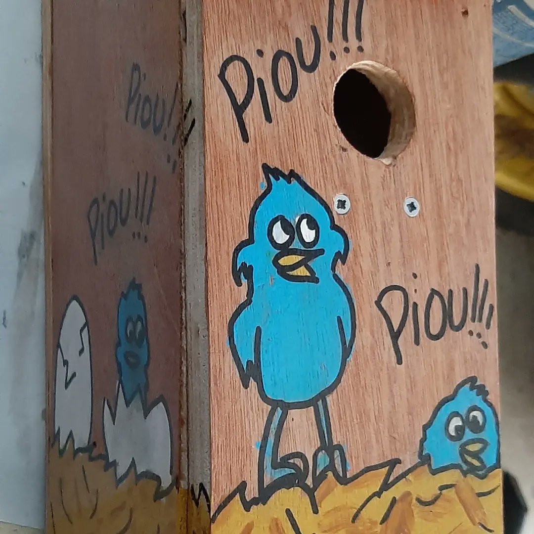 Biodiversité terrestre
Les premiers nichoirs sont terminés. 
Installation ds les jardins du collège à la rentrée pourbos amis les oiseaux. 
Observation, identification des espèces et recensement au programme de février mars.
Collège labellisé refuge @lpo_officiel