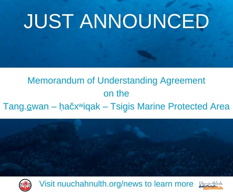 Big news shared today @ @IMPAC5Canada Nuu-chah-nulth, Haida, Quatsino & Pacheedaht First Nations announce MOU agreement with DFO on the Tang.ɢwan - ḥačxwiqak - Tsig̱is Marine Protected Area Learn more: nuuchahnulth.org/news #nuuchahnulth #marineprotectedarea #MPA #IMPAC5