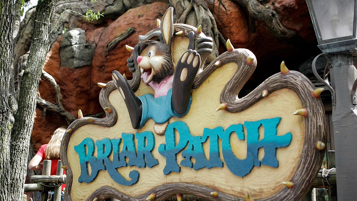 SaveBriarPatch's tweet photo. #SaveSplashMountain #Disney @RobertIger @GovRonDeSantis @ByronDonalds @RestoringMagic @elonmusk @BriarPatchz @WDWToday @WDWNT #WaltDisneyWorld https://t.co/1as3ZerndG