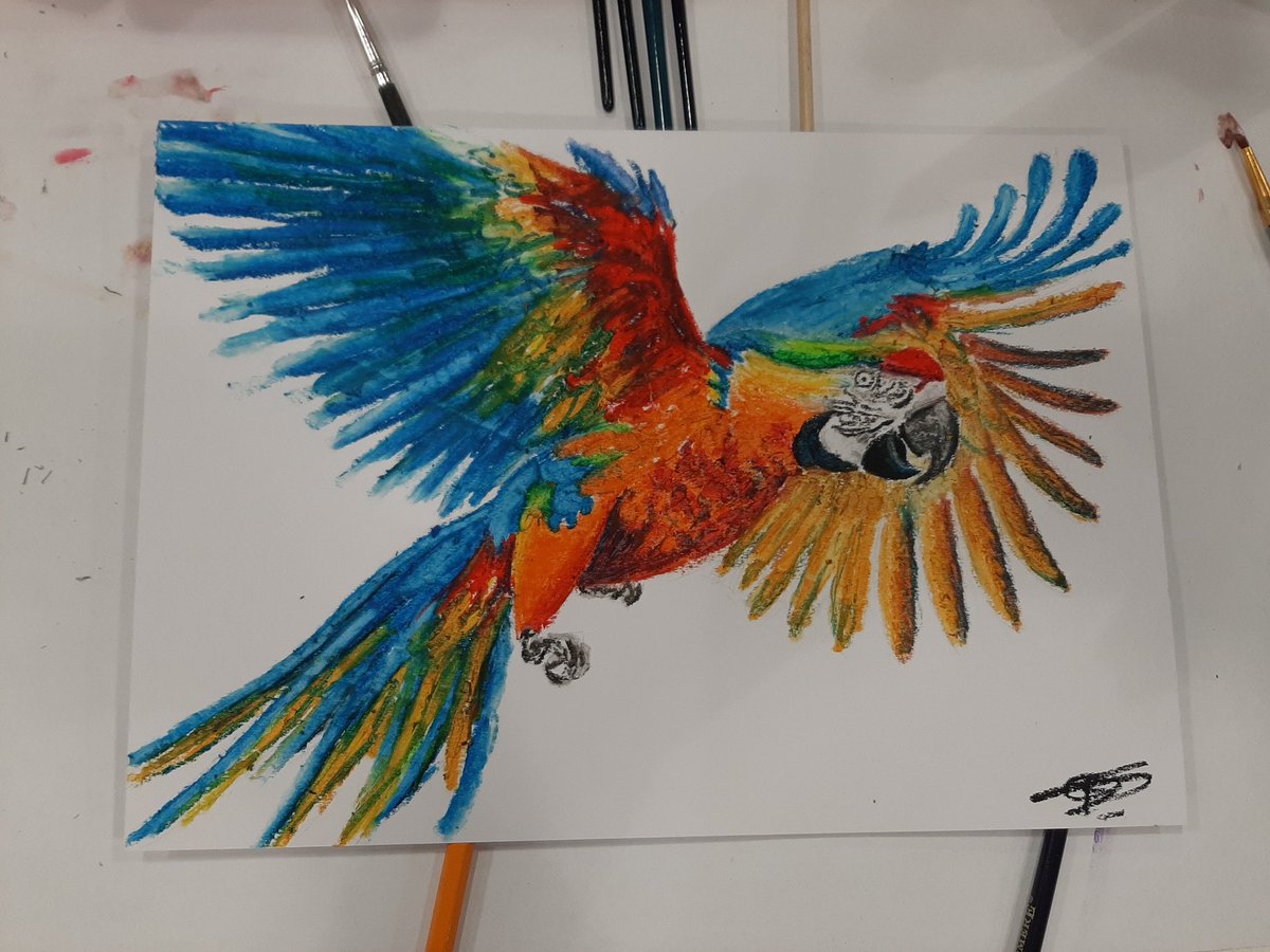 mindanddraw🖌🖍✏️ tweet media