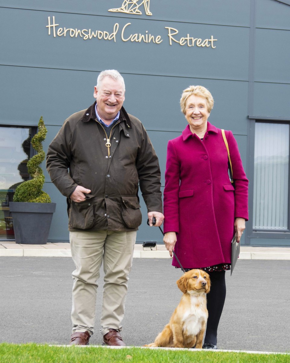 Another happy family! 🥰

Jenson found his forever home today, and we're so happy seeing him leaving to go and live his best life! 😆🏠

#Dogs #Traineddogs #fluffyfriends #attraineddogs #welltrained #lancashire #uk #perfectpet #pet #cute #dogoftheday #Heronswoodcanineretreat