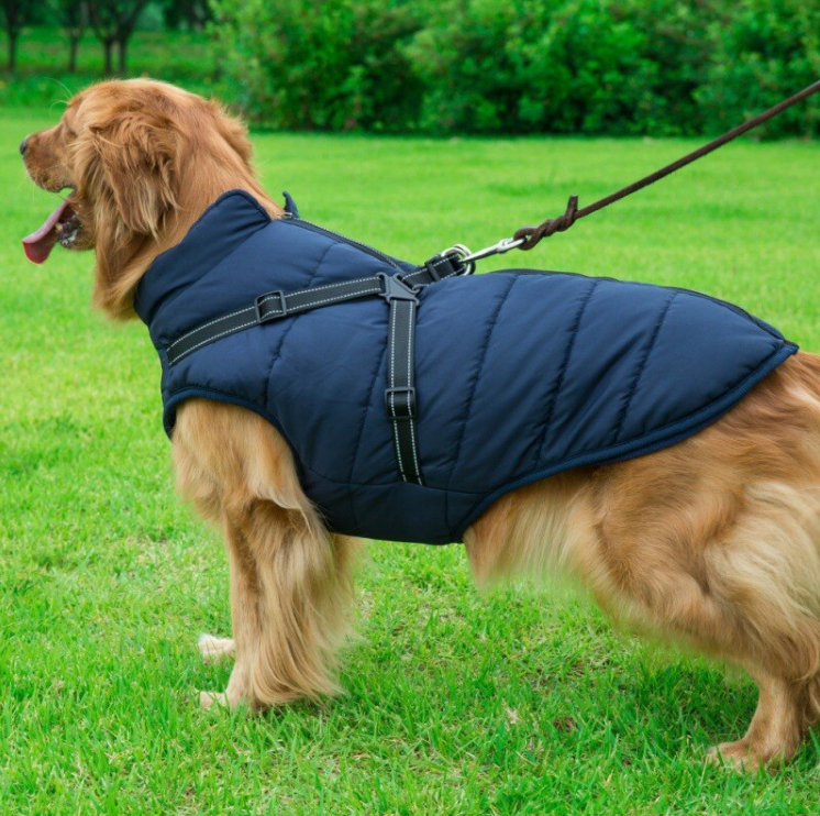 HuffHuffHuff2's tweet image. Keep your furry friend warm and stylish! Our 2 in 1 durable padded winter vest is perfect for the colder months. Check out our website to get it delivered directly to you! 

huffhuffhuff.com/product/2-in-1…

#wintervest #pets #petvest #winter #cold #warmpet #happypet #pet