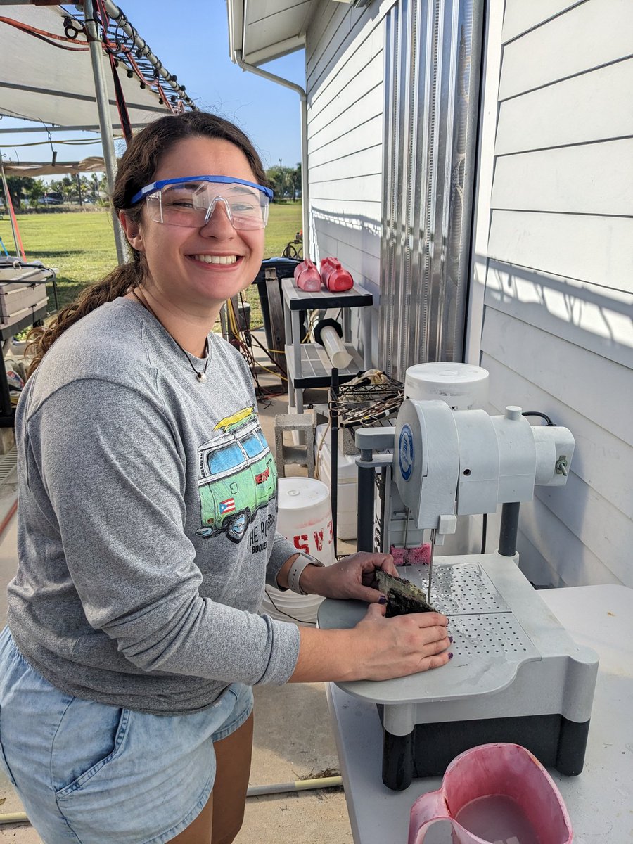 The Coral Health and Marine Probiotics Lab tweet media