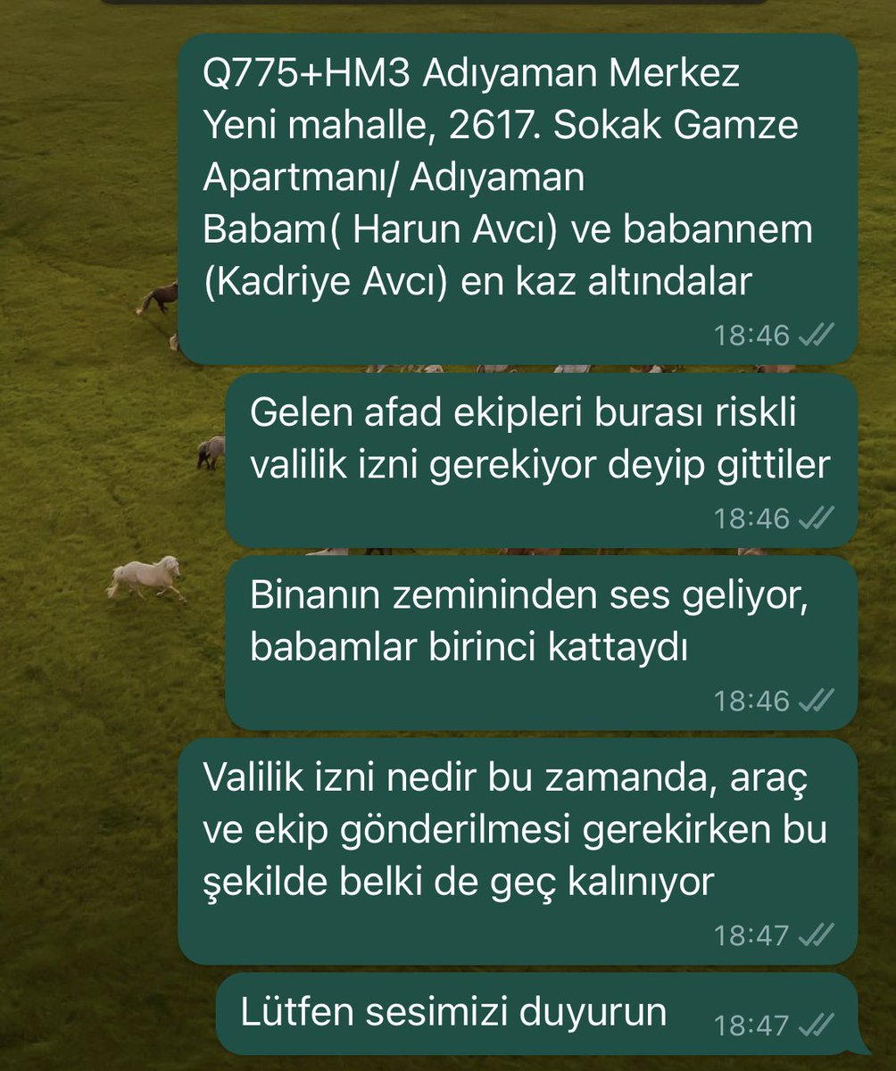 Fatma Betül Avcı tweet media