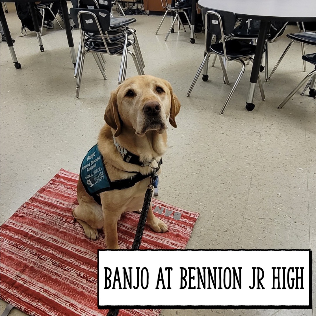 SLCoAnimals's tweet image. Responsibility+Compassion+Safety+Pets = Humane Education. Book your #free presentation if you teach in #slco. ow.ly/xY7A50MLoqy #adoptutahpets #utahteachers #utah #humaneeducation