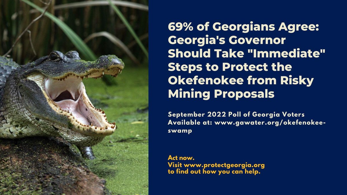 GCVoters's tweet photo. Our Okefenokee Swamp, the Wild Heart of Georgia, needs your help! Join Georgians across the state in opposing risky mining permits for a proposed titanium mine in Charlton County. add your name: https://t.co/2qfwBnJFZB
#SaveTheSwamp #OurOkefenokee https://t.co/k6phhIE0FP