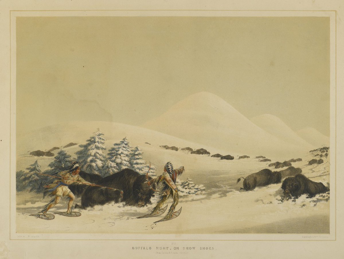 George Catlin, Buffalo Hunt, on Snow Shoes #americanart #georgecatlin brooklynmuseum.org/opencollection…