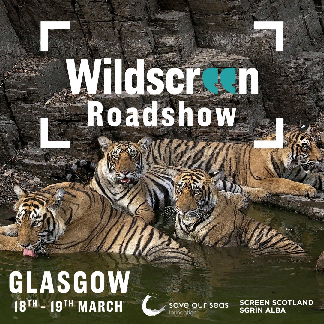 Wildscreen (@wildscreenfest) on Twitter photo #WildscreenRoadshow is heading to Glasgow Science Centre, for a weekend of independent film screenings from our fab 2022 Official Selection!
Plus, exciting conservationist and filmmaker panels and Q&A's!
Book now! (๐ in Bio)
Supported by <a href="/screenscots/">Screen Scotland</a> and <a href="/saveourseas/">Save Our Seas</a> #WildscreenRoadshow is heading to Glasgow Science Centre, for a weekend of independent film screenings from our fab 2022 Official Selection!
Plus, exciting conservationist and filmmaker panels and Q&A's!
Book now! (๐ in Bio)
Supported by <a href="/screenscots/">Screen Scotland</a> and <a href="/saveourseas/">Save Our Seas</a>