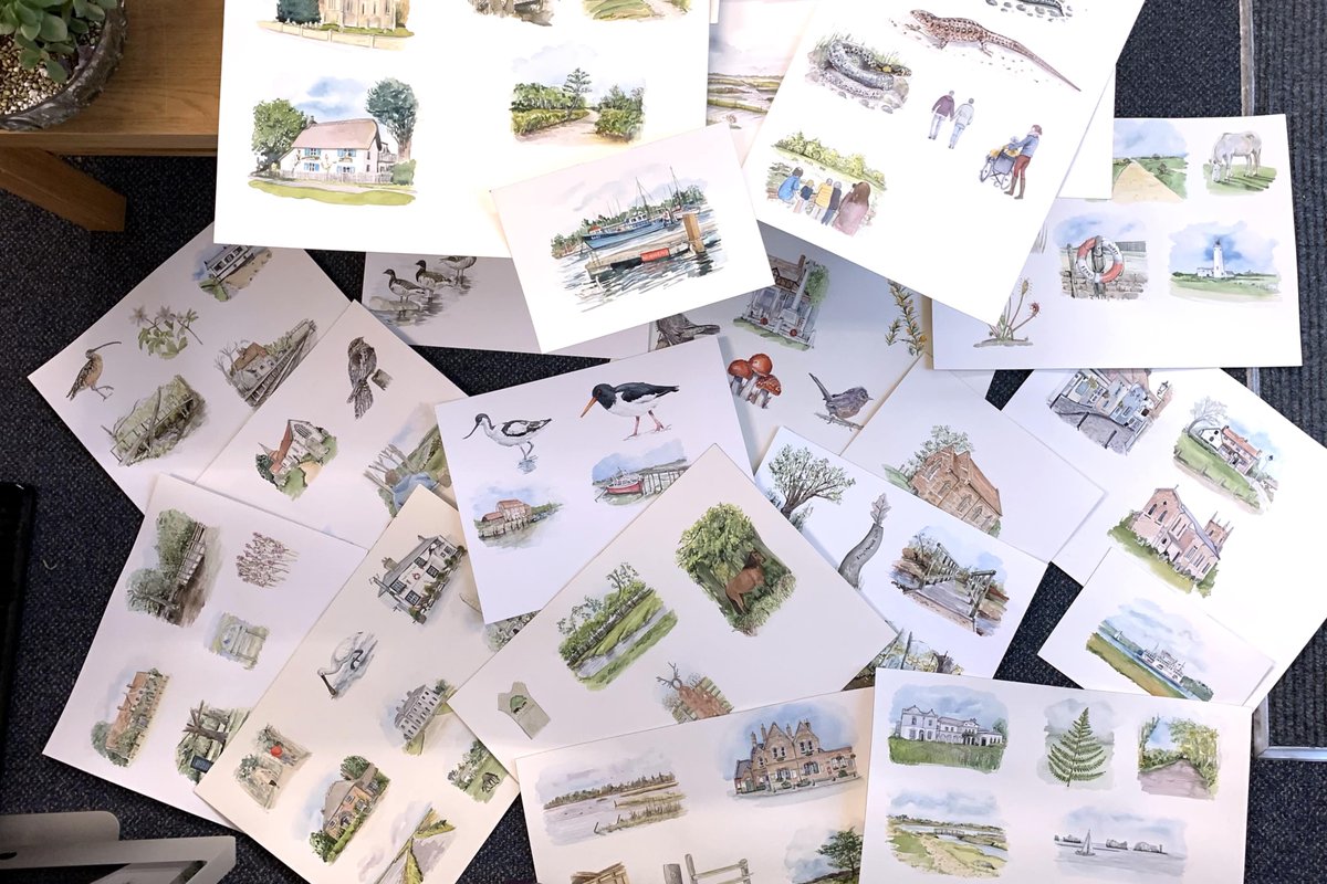 getrecognition's tweet photo. 🎨 Since the New Year, @getrecognition's design team has been working hard on an exciting new project for @NewForestNPA with some help from the talented Kathryn Coyle at @littleredboot

Stick around to see what we've been up to! Here's a little behind-the-scenes look 👀 https://t.co/dmaJmq1838