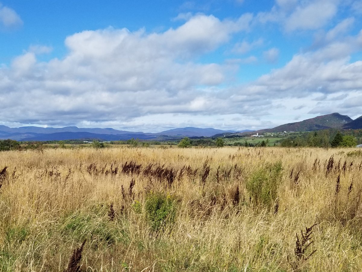 VTLandTrust's tweet photo. Thanks to Chaput Family Farms for conserving 80 acres in Newport Town. The conservation easement also protects streambanks and wetlands. This project was supported by @VermontHCB and @VermontNRCS #VT #NEK #VTag #VTdairy #VTfarm #landtrust https://t.co/jJqK1HFBkU