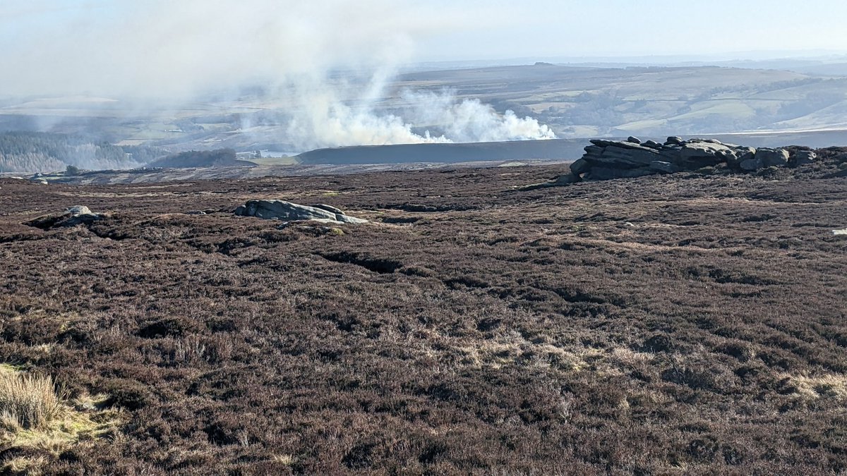 fellrunningguid's tweet photo. Quite a few burns on the moors today. This one is on Strines Moor @burningmoors @wildmoorsuk https://t.co/Lfyg96NQAN