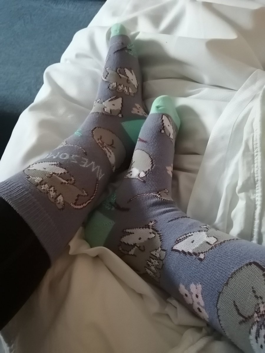 ((Possum socks ☺️❤️