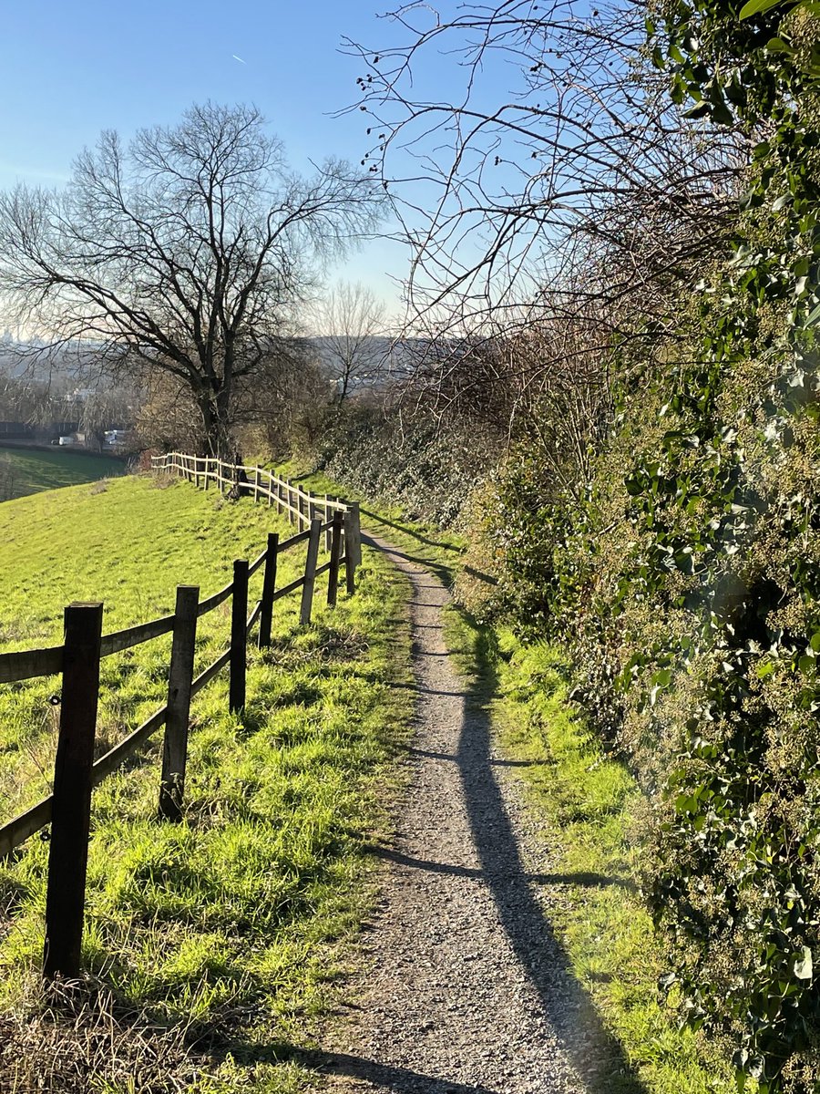 Die letzten Tage waren nur grau und regnerisch. Heute kam endlich die Sonne raus und ich war wieder laufen 🏃‍♂️ 
You‘ll never walk alone. #Sportchallenge #NerdLaufChallenge