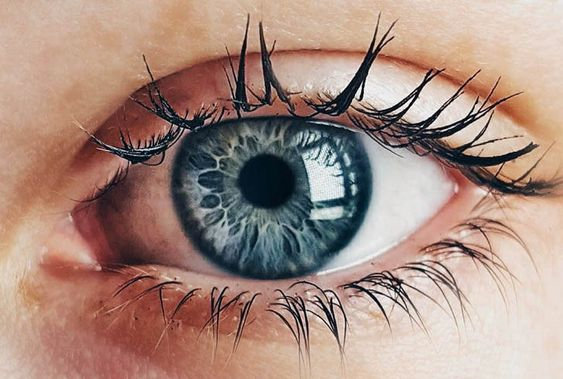 You hear a lot about how seed oils are bad

But people rarely tell you WHY they're so bad

Until now...