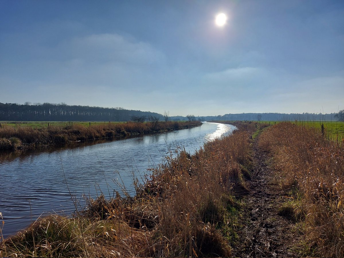 Even een rondje om de Es met Buddy mijn grote vriend. Wat een weertje was het vandaag. #noordenveld #wandeling #dog