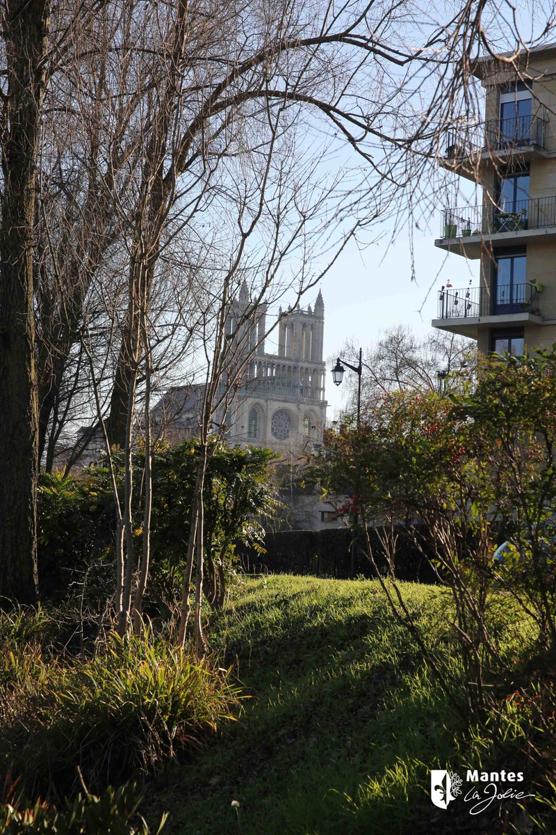 ManteslaJolie_'s tweet photo. 📸Un mardi après-midi à #ManteslaJolie 🌿
Avec le retour du ☀️ qui fait plaisir !
#photooftheday #photography #bordsdeseine #collegiale https://t.co/W43Uy4e46k