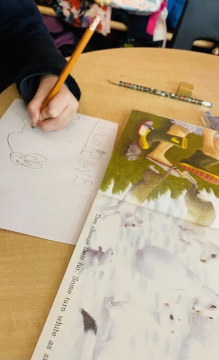 Jennifer Angle (@angle_bellmoore) on Twitter photo Teacher-Librarians wear many hats in a school! ❤️ Today we are supporting educators by pulling books on 2D/3D shapes and offering support with in-class provocations. This is only possible when school libraries are fully funded. ❤️ <a href="/oslacouncil/">OSLA Council</a> <a href="/jelly_tamara/">Tamara Jelly</a> #SchoolLibraryJoy Teacher-Librarians wear many hats in a school! ❤️ Today we are supporting educators by pulling books on 2D/3D shapes and offering support with in-class provocations. This is only possible when school libraries are fully funded. ❤️ <a href="/oslacouncil/">OSLA Council</a> <a href="/jelly_tamara/">Tamara Jelly</a> #SchoolLibraryJoy