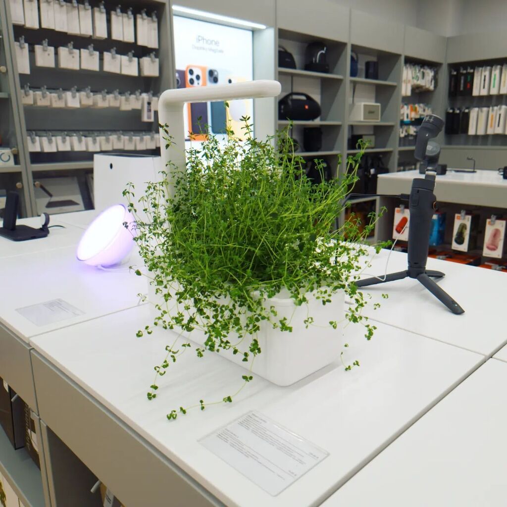 iStores_SK's tweet photo. 🪴 #SmartGarden od Click &amp; Grow. Kvetináč, ktorý dokáže samostatne vypestovať tvoje obľúbené bylinky, zeleninu, kvetinky či malé stromčeky. #SmartGarden3 kúpiš v #iStores za 90 €. Vyber si aj z množstva sadeničiek v našej ponuke. #ClickandGrow https://t.co/lN6HvUKwNw https://t.co/u57By7h9Et