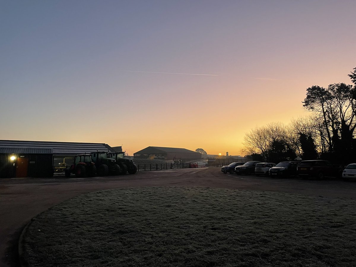It might mean an early start, but taking milk samples as part of my dissertation on a cold frosty morning is made worthwhile with a sunrise like this morning! 🌅