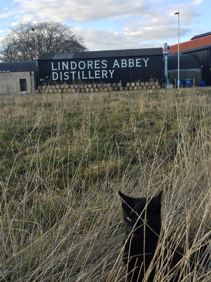 Drew McKenzie Smith tweet media