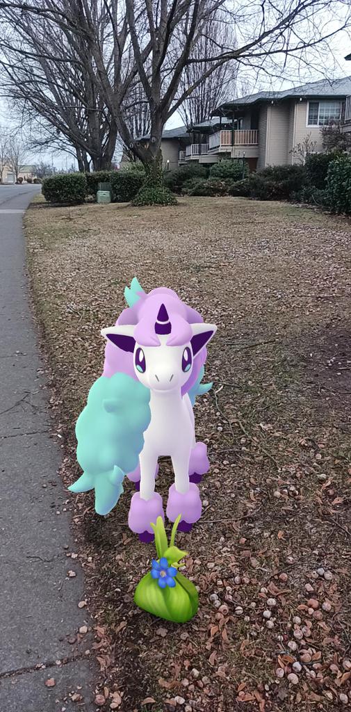 Ygaf2019's tweet photo. #PokemonGOfriends #mybuddie #iloveher #adorable https://t.co/CSgcCyiw0r