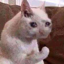 Olive__Jar's tweet photo. I made a joke with my friends the other day comparing us to Mort, King Julien, and Maurice. We agreed I was Mort. We were trying to decide the other two and I said "Well which one of you had a foot fetish." Forgetting it was Mort. It's me. https://t.co/vx15WuIIoW