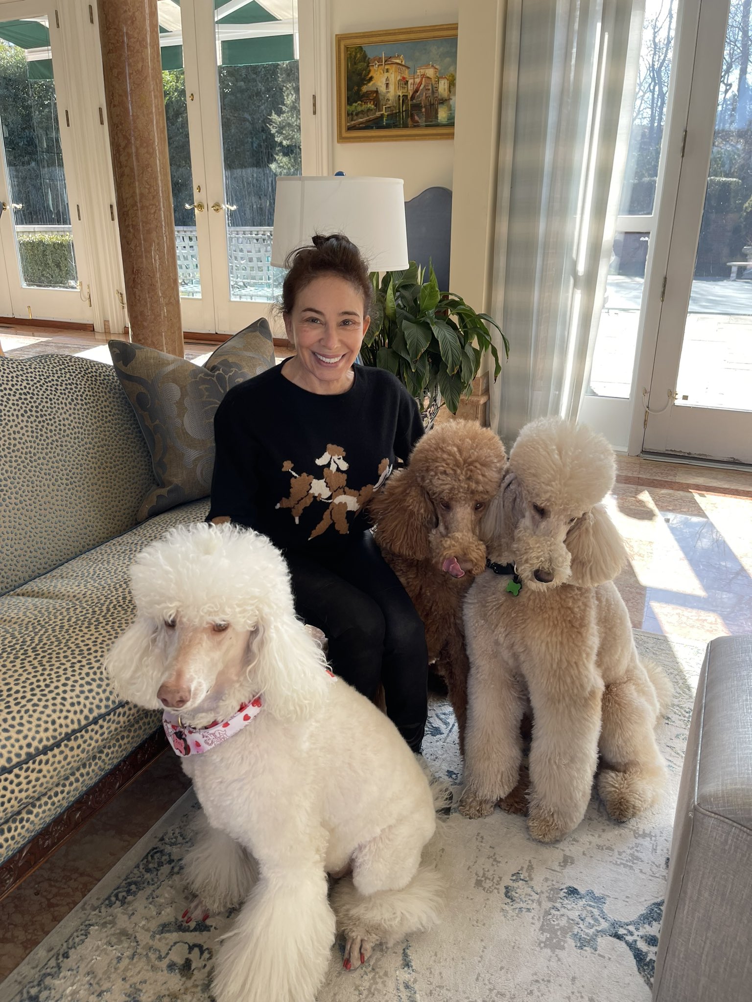 Jeanine Pirro on X: "Stella, Red and Ted at home with me in my  appropriately colored 🐩 sweater from @DanaPerino! ❤️❤️  https://t.co/Zv7FDX6nLN" / X