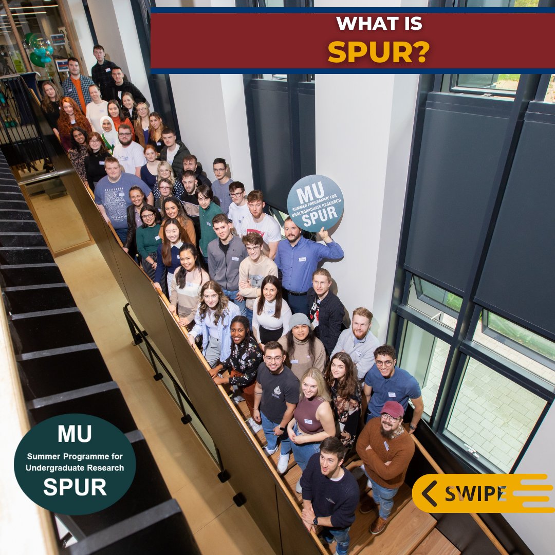 mu_futureready's tweet image. 📣Applications for SPUR 2023 are now open! 📣⠀
Learn more about the Summer Programme for Undergraduate Research and Apply on MU Future Ready Connect (link in bio)